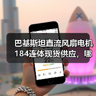 巴基斯坦直流风扇电机184连体现货供应，哪里买？（图1）