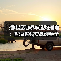 插电混动轿车选购指南:省油省钱实战经验全解析(图1) 插电混动轿车选购指南:省油省钱实战经验全解析(图1)