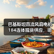 巴基斯坦直流风扇电机184连体现货供应，哪里买？（图4）