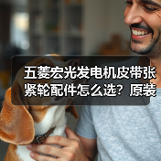 五菱宏光发电机皮带张紧轮配件怎么选？原装推荐（图1）