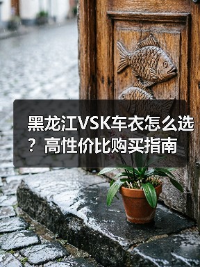 黑龙江VSK车衣怎么选?高性价比购买指南(图4) 黑龙江VSK车衣怎么选?高性价比购买指南(图4)