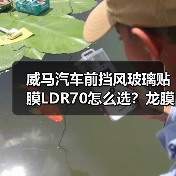 威马汽车前挡风玻璃贴膜LDR70怎么选?龙膜车衣全解析(图4) 威马汽车前挡风玻璃贴膜LDR70怎么选?龙膜车衣全解析(图4)