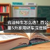 省油神车怎么选?百公里5升家用轿车深度解析(图3) 省油神车怎么选?百公里5升家用轿车深度解析(图3)