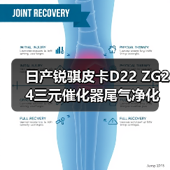 日产锐骐皮卡D22 ZG24三元催化器尾气净化器氧传感器4RB2配件选对了吗？（图1）
