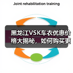 黑龙江VSK车衣优惠价格大揭秘,如何购买更划算?(图2) 黑龙江VSK车衣优惠价格大揭秘,如何购买更划算?(图2)