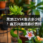 黑龙江VSK车衣多少钱?鑫万兴晟优惠价直降 黑龙江VSK车衣多少钱?鑫万兴晟优惠价直降