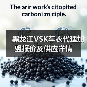 黑龙江VSK车衣代理加盟报价及供应详情(图2) 黑龙江VSK车衣代理加盟报价及供应详情(图2)
