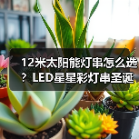 12米太阳能灯串怎么选?LED星星彩灯串圣诞节日防水装饰推荐(图4) 12米太阳能灯串怎么选?LED星星彩灯串圣诞节日防水装饰推荐(图4)
