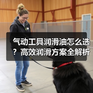 气动工具润滑油怎么选？高效润滑方案全解析（图4）