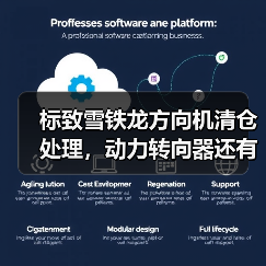 标致雪铁龙方向机清仓处理，动力转向器还有货吗？（图2）