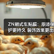 ZN厢式车贴膜:原漆保护更持久 装饰效果更出众(图2) ZN厢式车贴膜:原漆保护更持久 装饰效果更出众(图2)