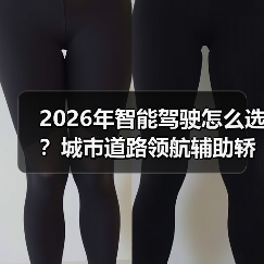 2026年智能驾驶怎么选?城市道路领航辅助轿车全解析(图4) 2026年智能驾驶怎么选?城市道路领航辅助轿车全解析(图4)