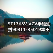 ST17#SV VZV半轴油封90311-35019丰田车主必看选购指南（图3）