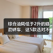 综合油耗低于2升的插混轿车,这5款选对不后悔!(图3) 综合油耗低于2升的插混轿车,这5款选对不后悔!(图3)