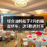 综合油耗低于2升的插混轿车,这5款选对不后悔!(图4) 综合油耗低于2升的插混轿车,这5款选对不后悔!(图4)