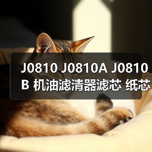 J0810 J0810A J0810B 机油滤清器滤芯 纸芯 汽车发动机适用 J0810 J0810A J0810B 机油滤清器滤芯 纸芯 汽车发动机适用