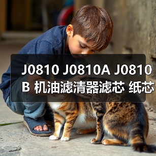 J0810 J0810A J0810B 机油滤清器滤芯 纸芯 汽车发动机适用（图2）