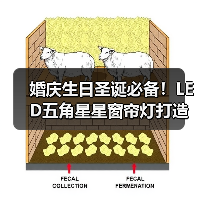婚庆生日圣诞必备!LED五角星星窗帘灯打造梦幻氛围(图2) 婚庆生日圣诞必备!LED五角星星窗帘灯打造梦幻氛围(图2)