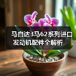 马自达3马62系列进口发动机配件全解析（图2）