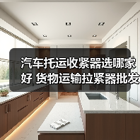 汽车托运收紧器选哪家好 货物运输拉紧器批发指南（图3）