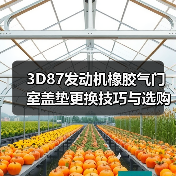 3D87发动机橡胶气门室盖垫更换技巧与选购指南（图3）