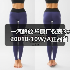 一汽解放J6原厂仪表3820010-10W/A正品备件供应（图3）