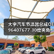 大宇汽车节温器总成OE96407677 30度夹角 适用型号精准匹配 大宇汽车节温器总成OE96407677 30度夹角 适用型号精准匹配