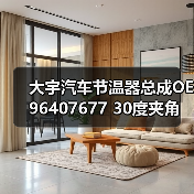 大宇汽车节温器总成OE96407677 30度夹角 适用型号精准匹配（图2）