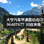 大宇汽车节温器总成OE96407677 30度夹角 适用型号精准匹配（图4）