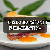 尼桑D23皮卡前大灯 厂家直供正品汽配件（图4）
