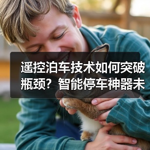 遥控泊车技术如何突破瓶颈?智能停车神器未来将如何发展?(图2) 遥控泊车技术如何突破瓶颈?智能停车神器未来将如何发展?(图2)