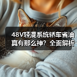 48V轻混系统轿车省油真有那么神?全面解析油耗焦虑破解之道(图2) 48V轻混系统轿车省油真有那么神?全面解析油耗焦虑破解之道(图2)