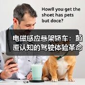 电磁感应悬架轿车:颠覆认知的驾驶体验革命(图4) 电磁感应悬架轿车:颠覆认知的驾驶体验革命(图4)