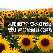 太阳能户外防水红绿镭射灯 舞台圣诞庭院景观装饰灯（图3）