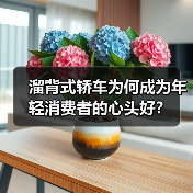 溜背式轿车为何成为年轻消费者的心头好?(图3) 溜背式轿车为何成为年轻消费者的心头好?(图3)