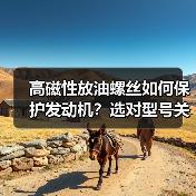 高磁性放油螺丝如何保护发动机?选对型号关键(图3) 高磁性放油螺丝如何保护发动机?选对型号关键(图3)