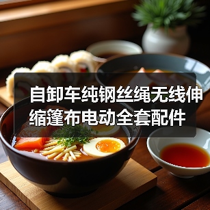 自卸车纯钢丝绳无线伸缩篷布电动全套配件（图3）