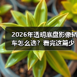2026年透明底盘影像轿车怎么选?看完这篇少走弯路(图2) 2026年透明底盘影像轿车怎么选?看完这篇少走弯路(图2)
