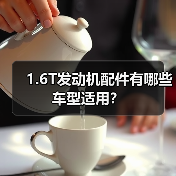 1.6T发动机配件有哪些车型适用?(图2) 1.6T发动机配件有哪些车型适用?(图2)