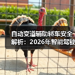 自动变道辅助轿车安全解析:2026年智能驾驶必看指南(图3) 自动变道辅助轿车安全解析:2026年智能驾驶必看指南(图3)