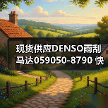 现货供应DENSO雨刮马达059050-8790 快速发货保障（图4）