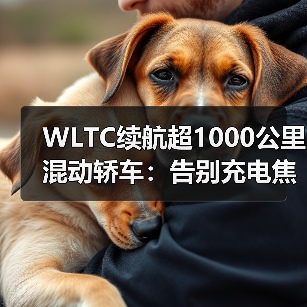 WLTC续航超1000公里混动轿车:告别充电焦虑的终极方案(图2) WLTC续航超1000公里混动轿车:告别充电焦虑的终极方案(图2)