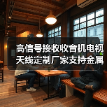 高信号接收收音机电视天线定制厂家支持金属配件(图4) 高信号接收收音机电视天线定制厂家支持金属配件(图4)
