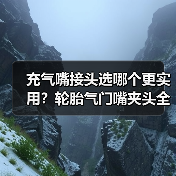 充气嘴接头选哪个更实用?轮胎气门嘴夹头全解析(图3) 充气嘴接头选哪个更实用?轮胎气门嘴夹头全解析(图3)