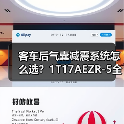 客车后气囊减震系统怎么选？1T17AEZR-5全国包邮（图3）