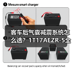 客车后气囊减震系统怎么选？1T17AEZR-5全国包邮（图4）