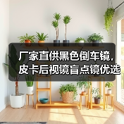 厂家直供黑色倒车镜，皮卡后视镜盲点镜优选（图4）