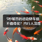 5秒破百的运动轿车值不值得买?内行人深度解析(图2) 5秒破百的运动轿车值不值得买?内行人深度解析(图2)