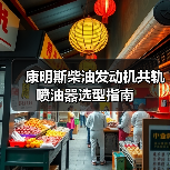 康明斯柴油发动机共轨喷油器选型指南(图3) 康明斯柴油发动机共轨喷油器选型指南(图3)