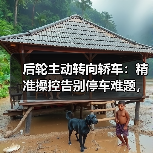 后轮主动转向轿车:精准操控告别停车难题,驾驶体验革命全解析(图4) 后轮主动转向轿车:精准操控告别停车难题,驾驶体验革命全解析(图4)